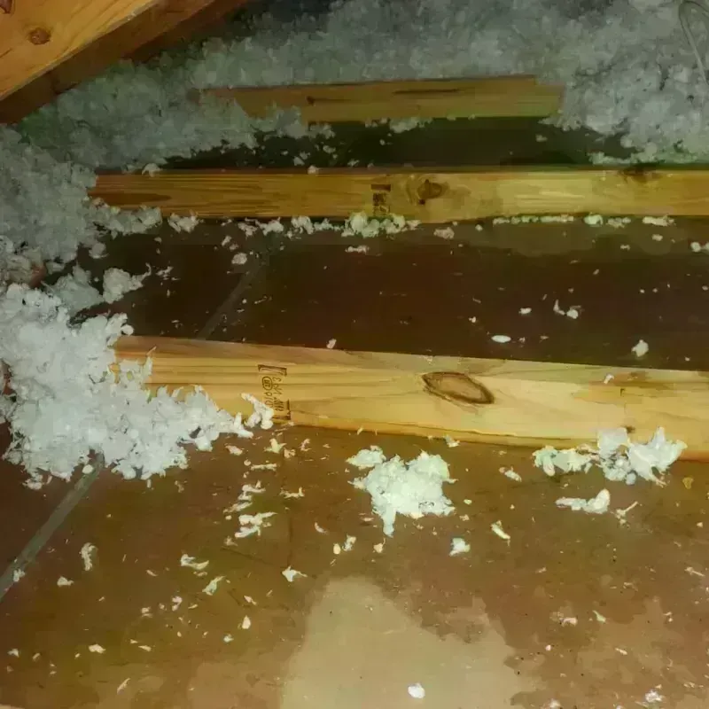 Attic Water Damage in Cloquet, MN